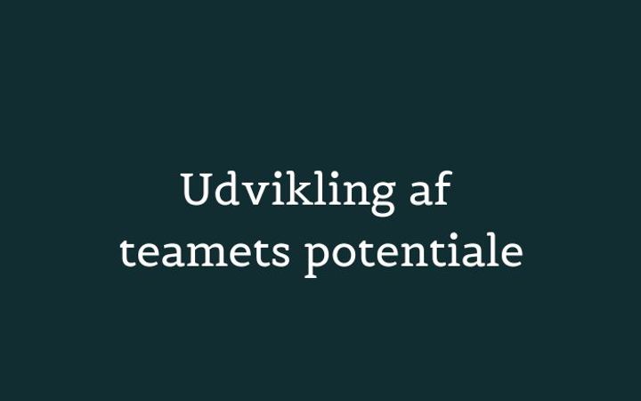 Udvikling af teamets potentiale
